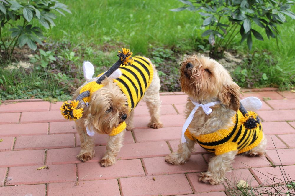 Photograph by Анастасия Липаткина