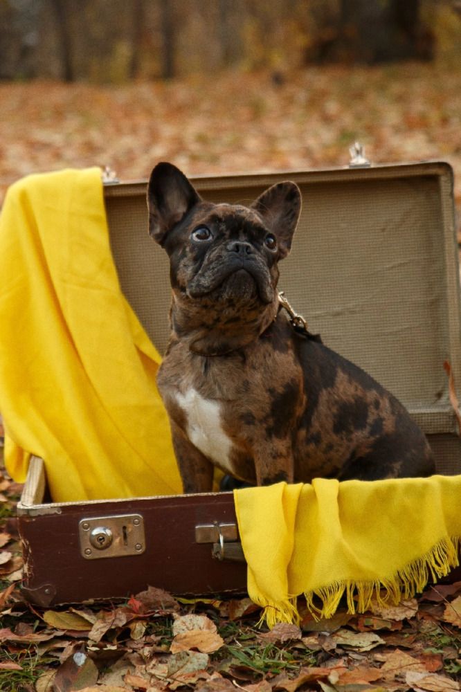 Photograph by Наталья Гашинская