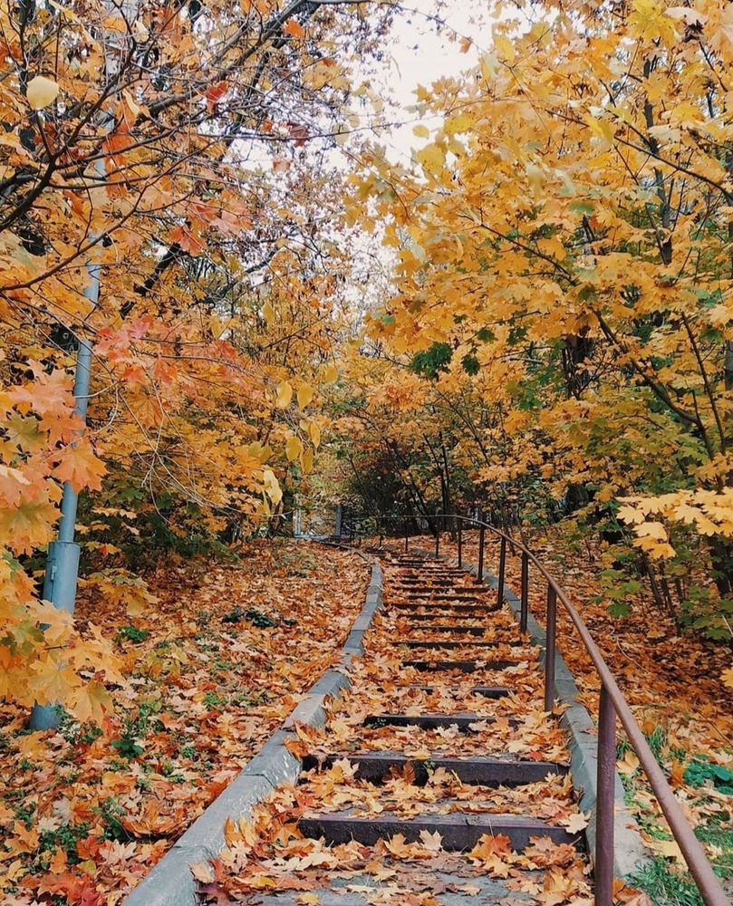 Photograph by Анна Напримерова