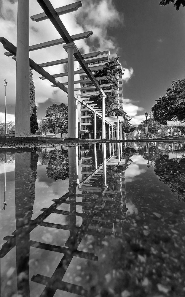 Photograph by GLEYDA GUTIÉREZ