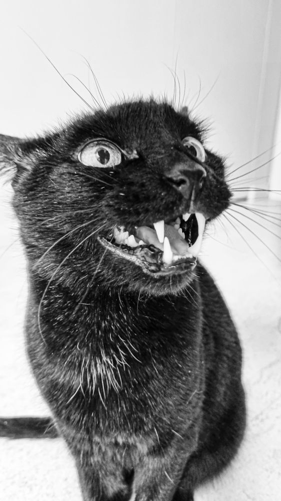 Photograph by Ольга