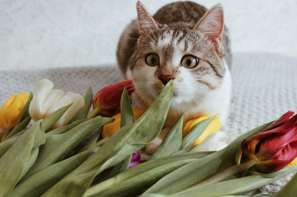 Photograph by Liudmila Pilets