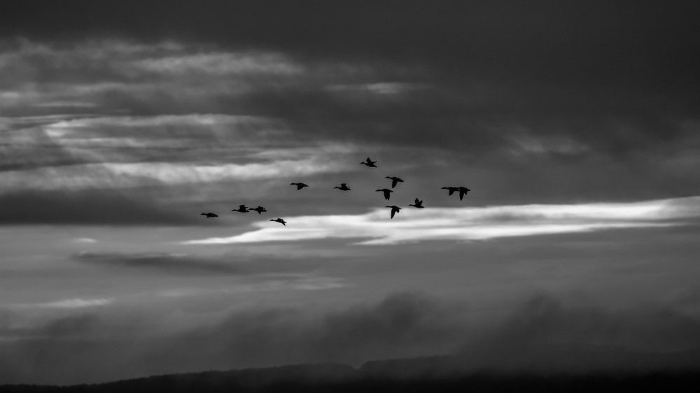 Photograph by константин