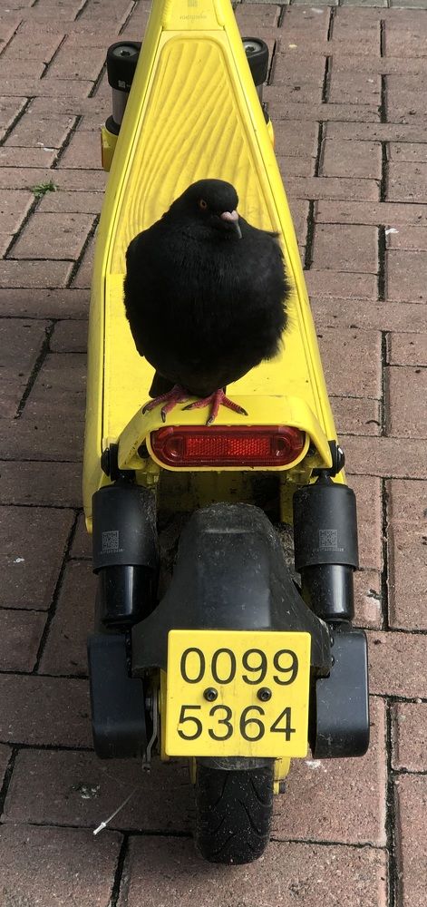 Photograph by Мария Бессмертная