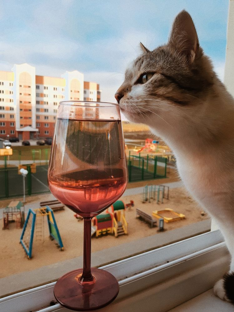 Photograph by Liudmila Pilets