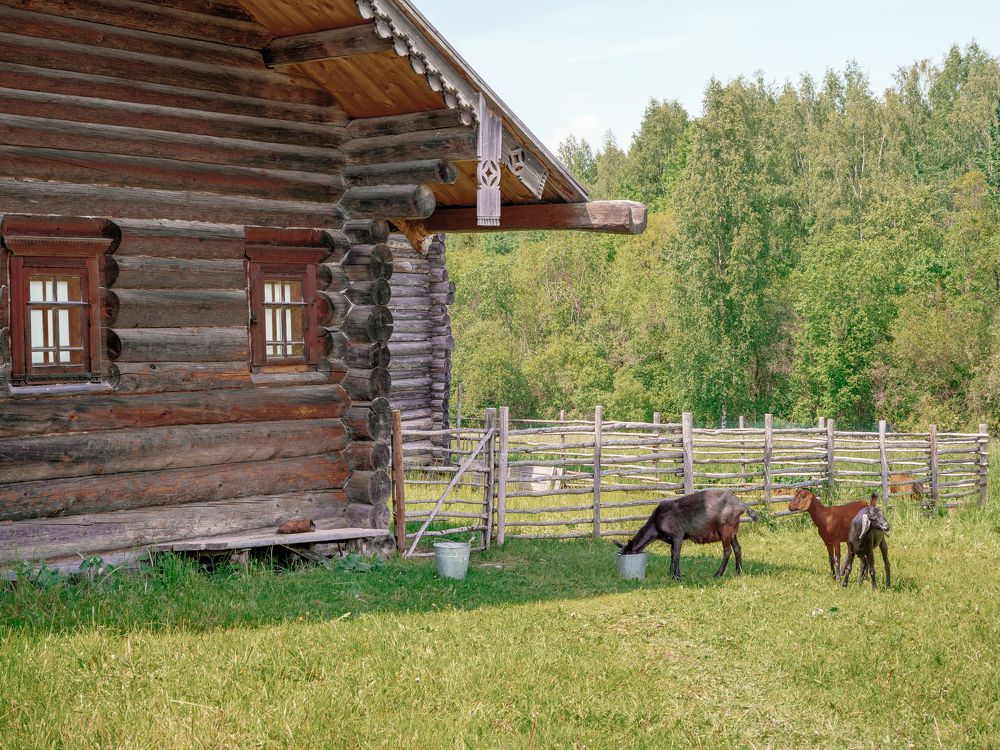 Photograph by Ярослав Изотов