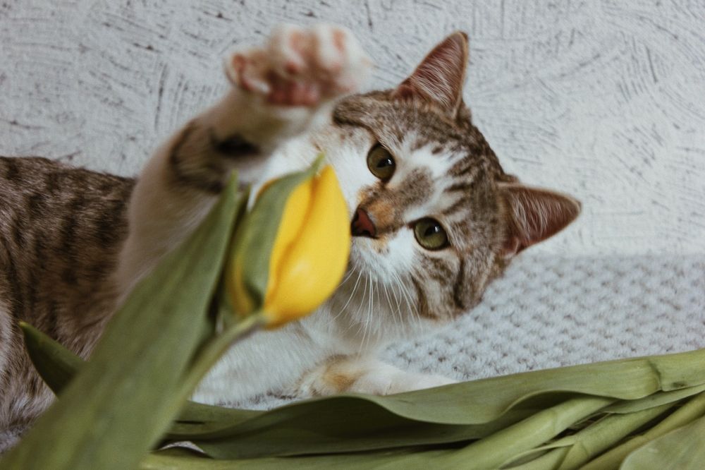 Photograph by Liudmila Pilets