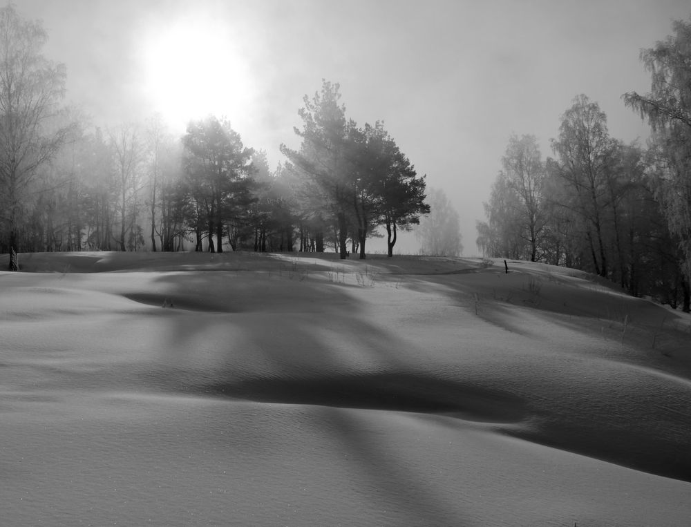 Фотография автора Кухта Мария