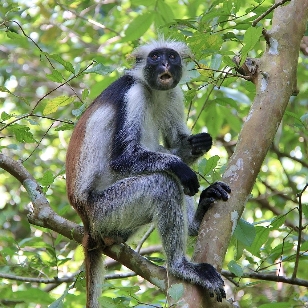 Photograph by Олег Банковский