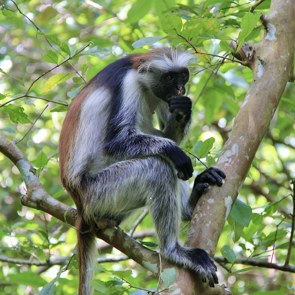 Photograph by Олег Банковский