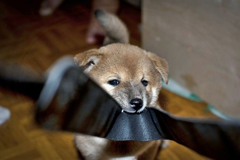 Photograph by Valery Kleymenov