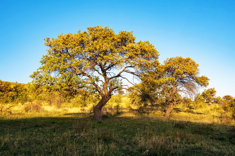 Photograph by Александр Грищенко