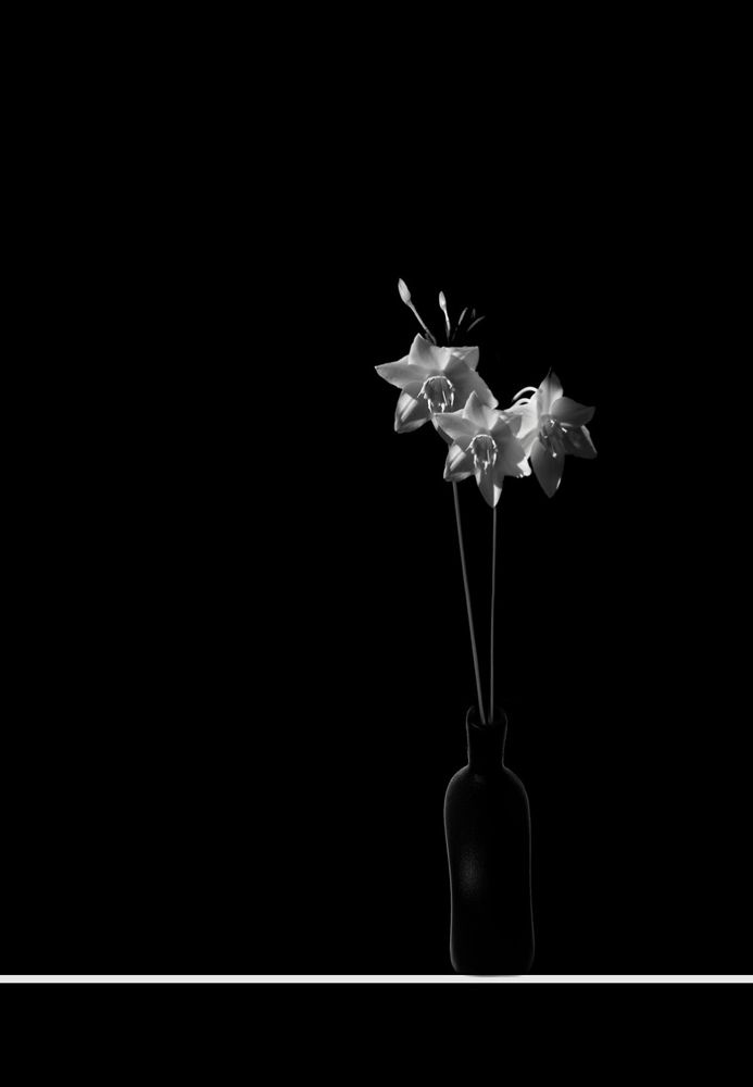 Photograph by Анна