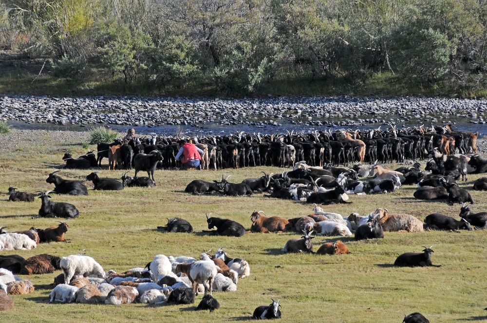 Photograph by Наталия Шинкевич