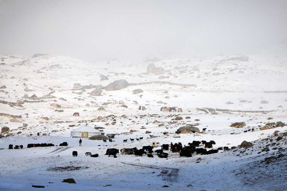 Photograph by Наталия Шинкевич