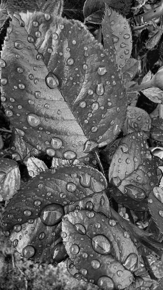 Photograph by Оксана Корепанова