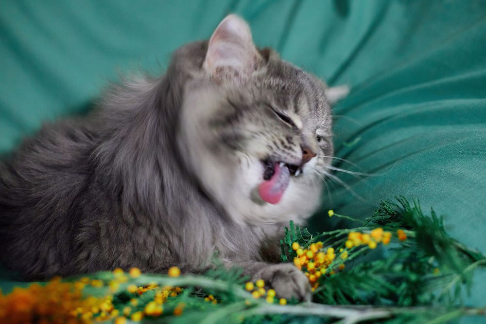 Photograph by Lyuba Moon