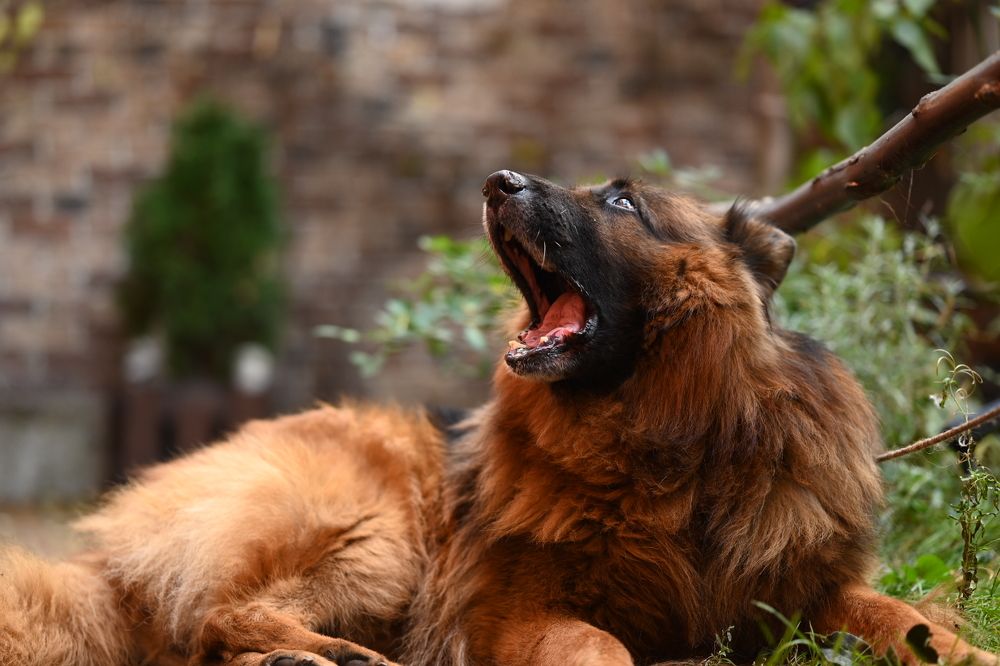 Photograph by Светлана Рубникович