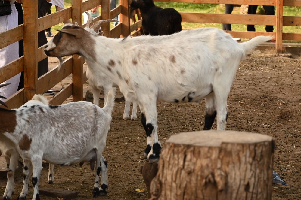 Photograph by Светлана Рубникович