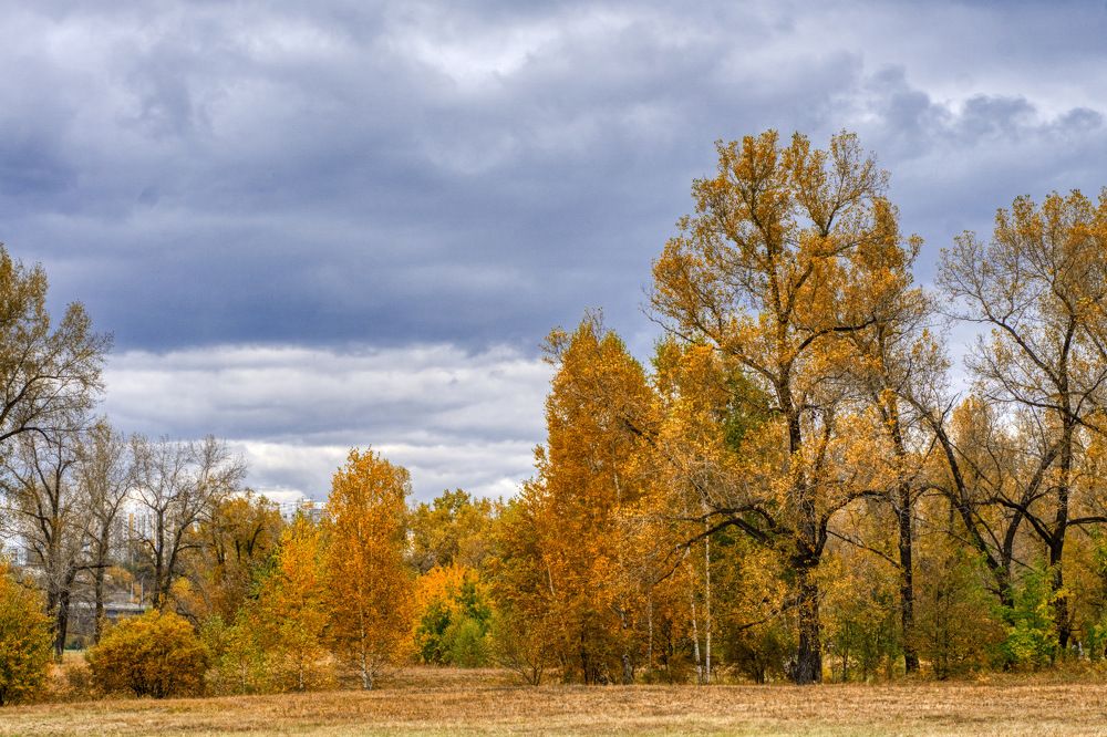 Photograph by Александр Пургин
