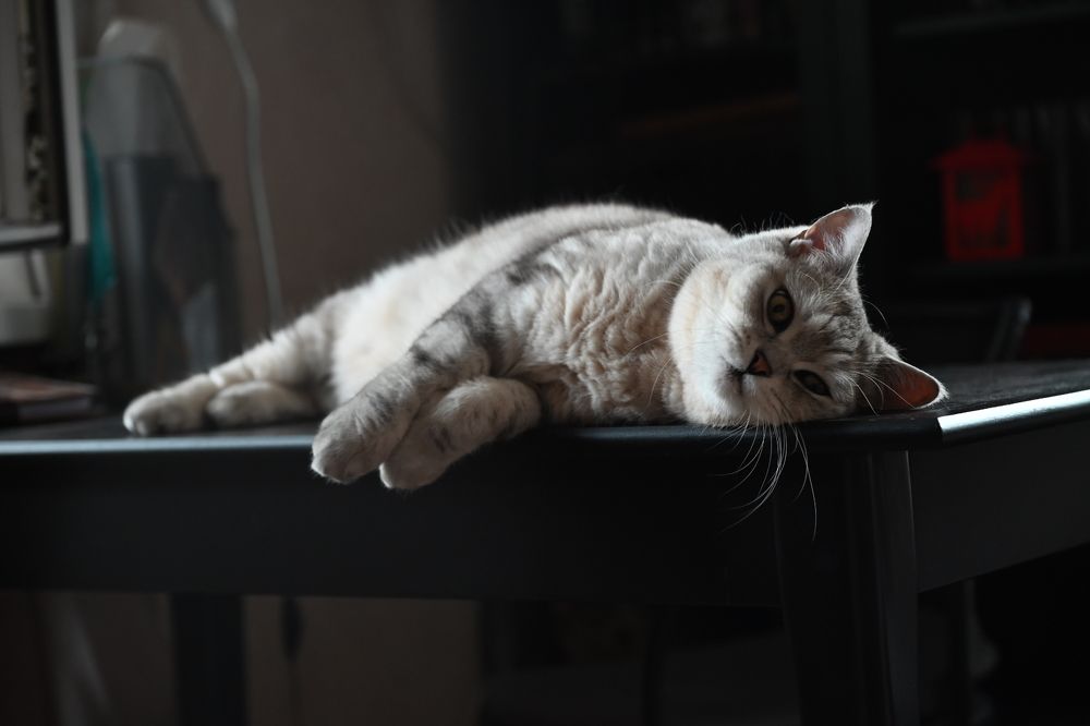 Photograph by Светлана Рубникович