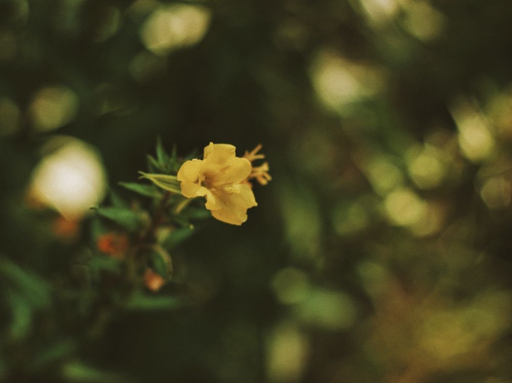 Photograph by Liudmila Pilets