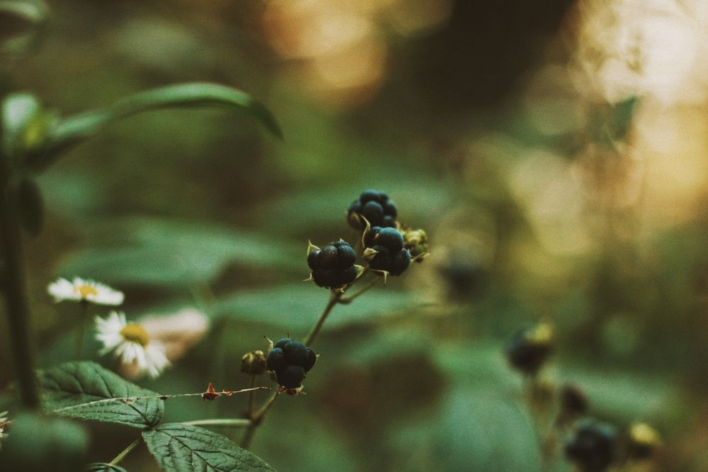 Photograph by Liudmila Pilets