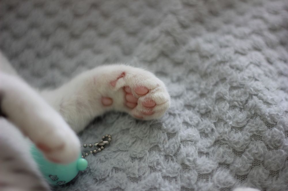 Photograph by Liudmila Pilets