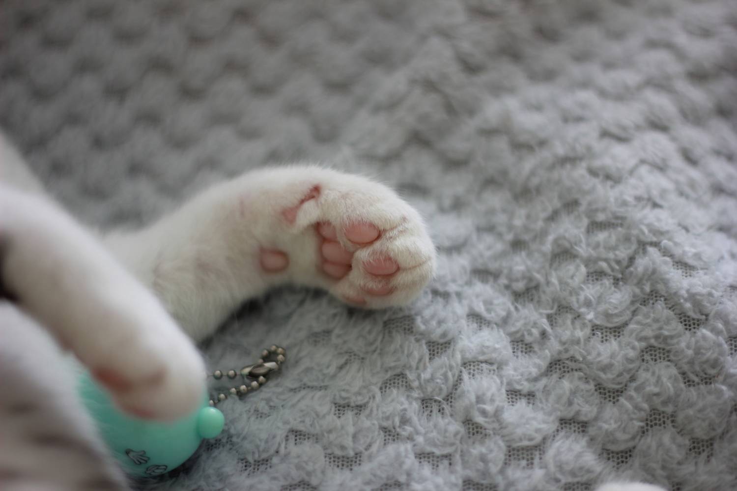 Photo #9643181