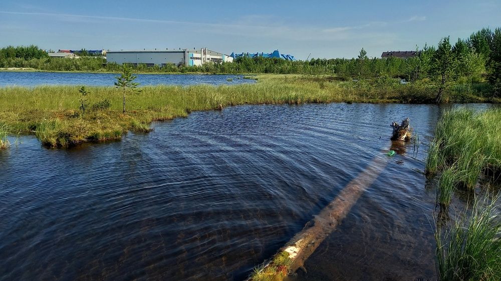 Фотография автора Евгения Зайцева