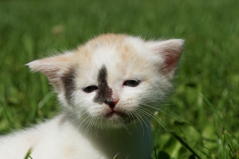 Photograph by сергей мишаков