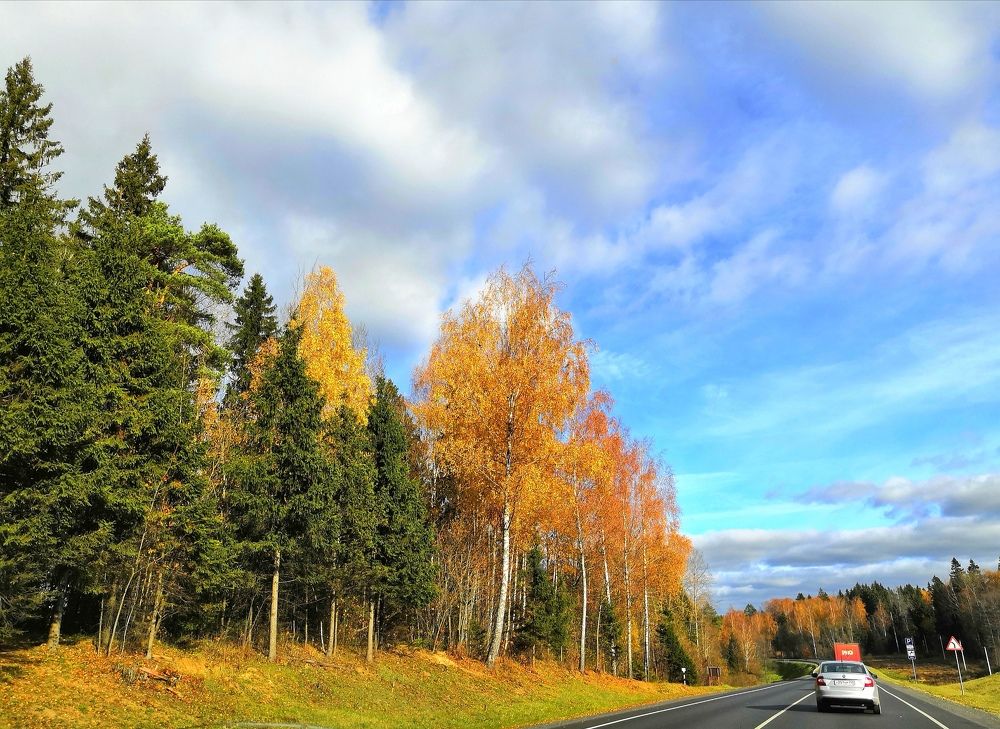 Фотография автора Сергей Можаев