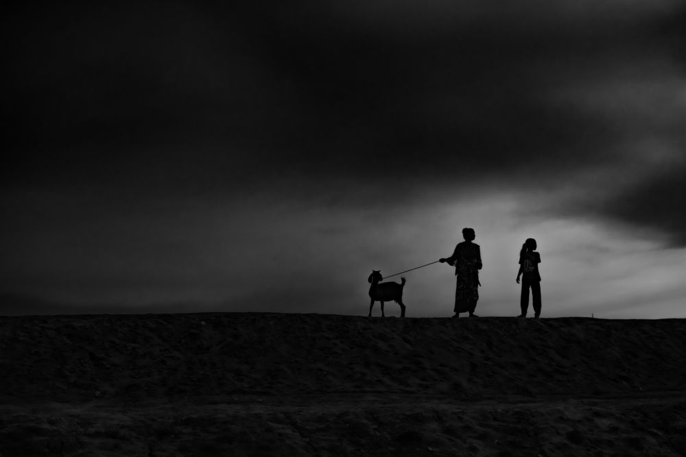 Фотография автора Mushfique Arefin