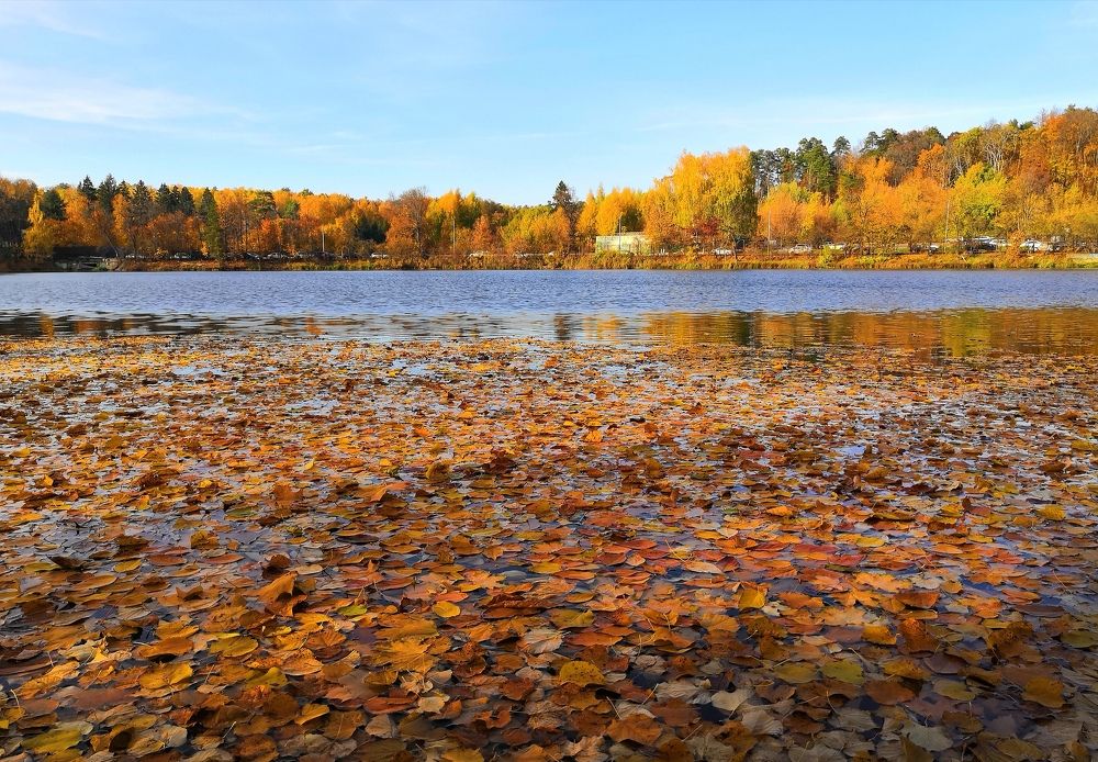 Фотография автора Сергей Можаев