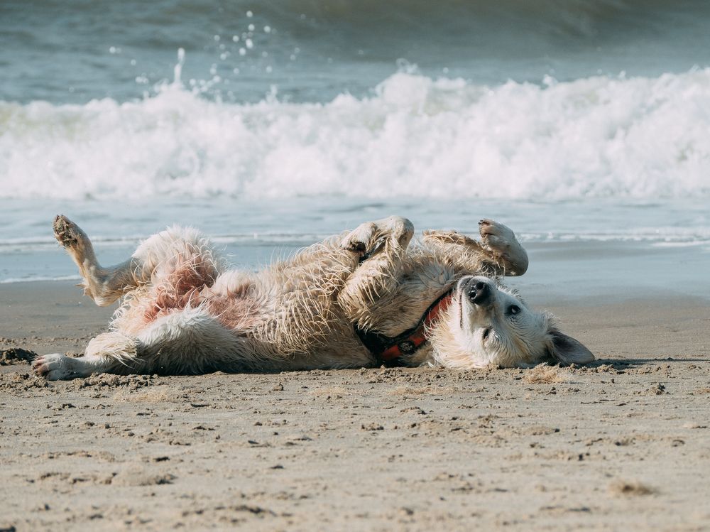 Photograph by Ирина Протченко