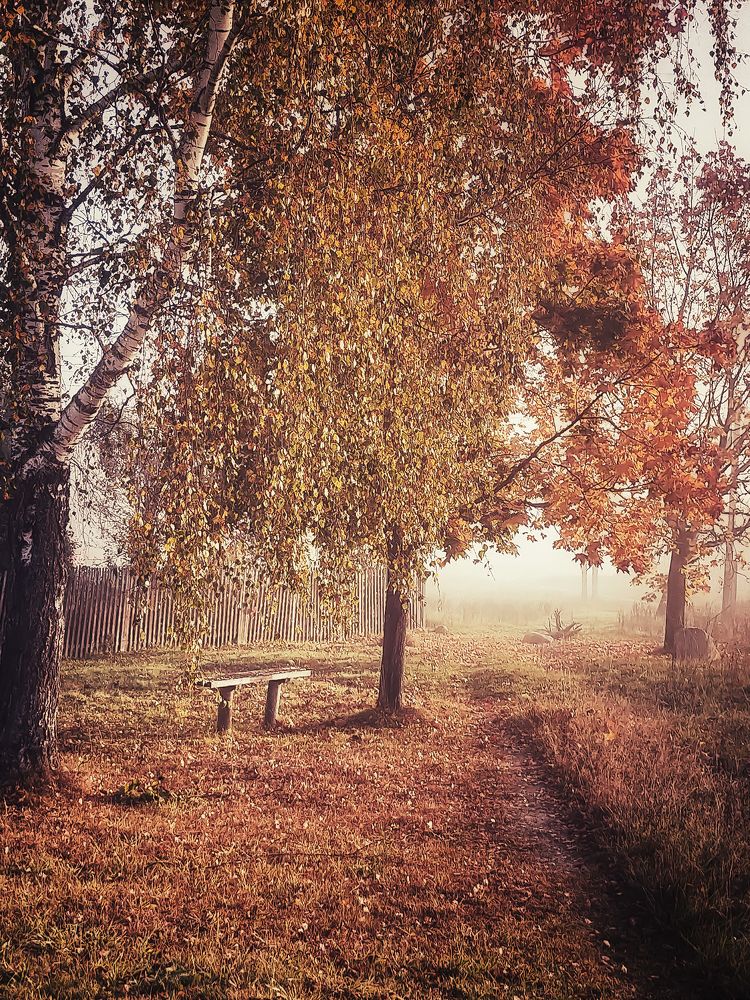 Золотая осень