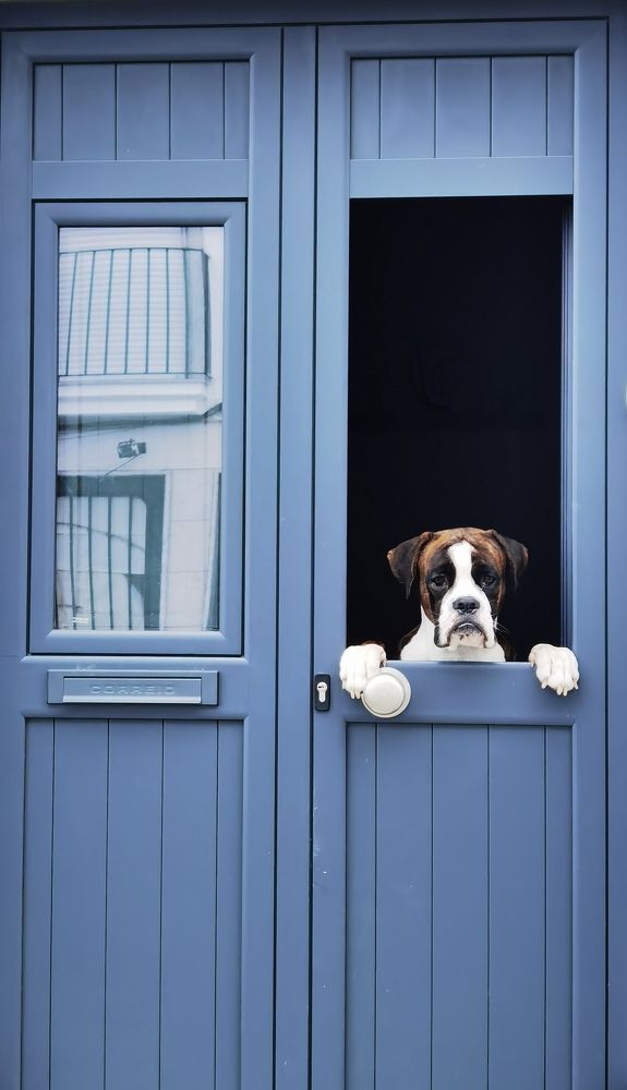 Photograph by Félix Sánchez Serrano