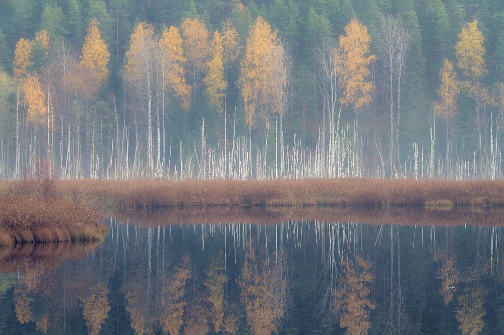 Осенний минор