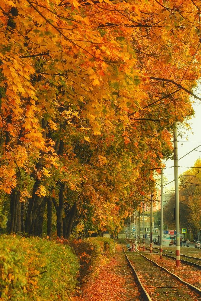 Photograph by Инга Сабанова