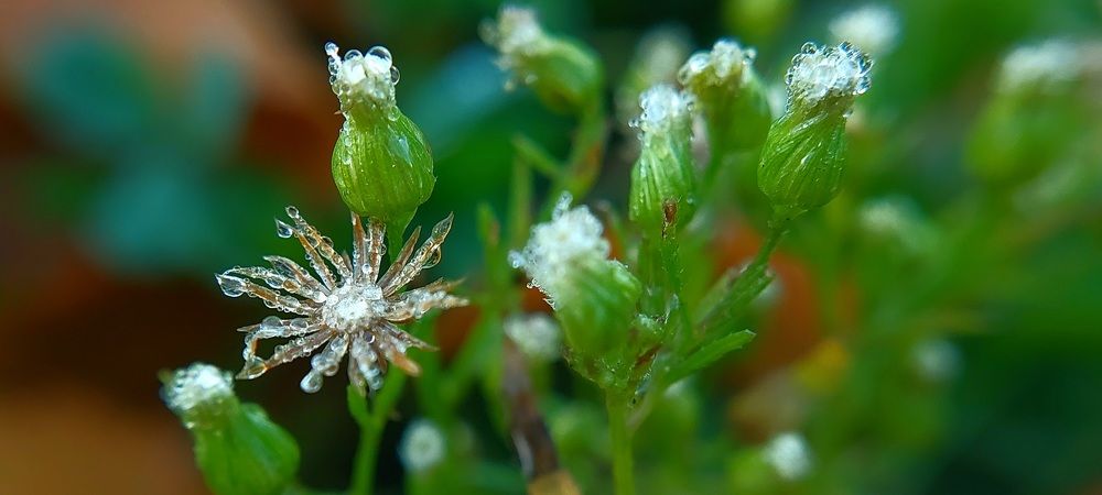 Фотография автора Сергей Можаев