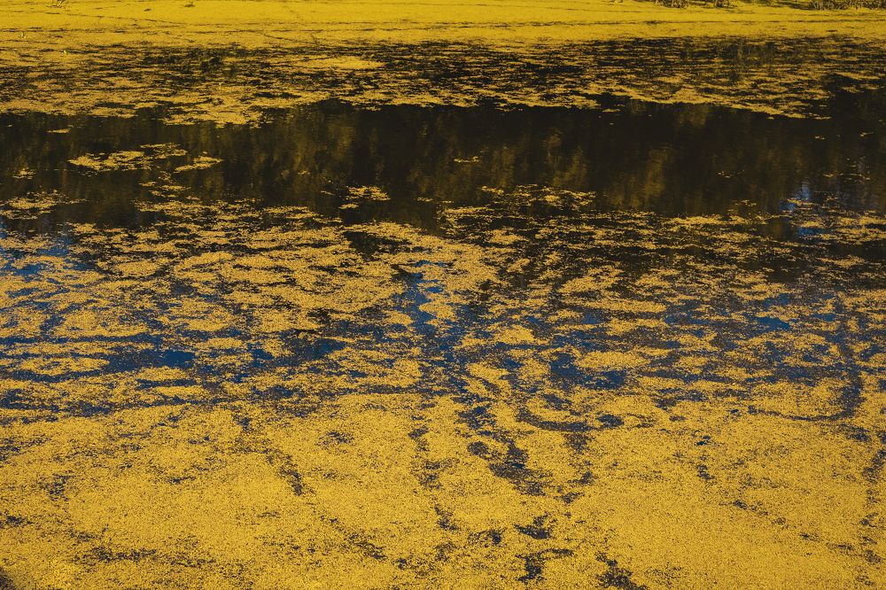 Photograph by Анастасия Хованская