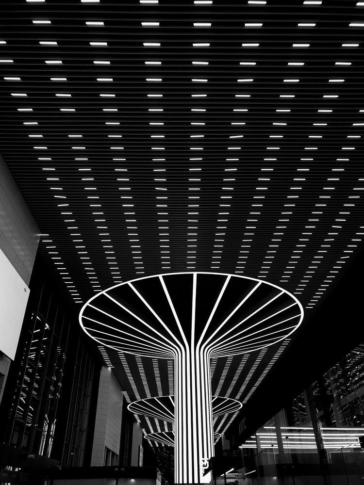 Photograph by Наталья Адалинская