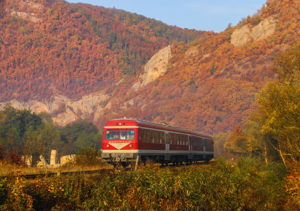 Фотография автора Sebastian Popa