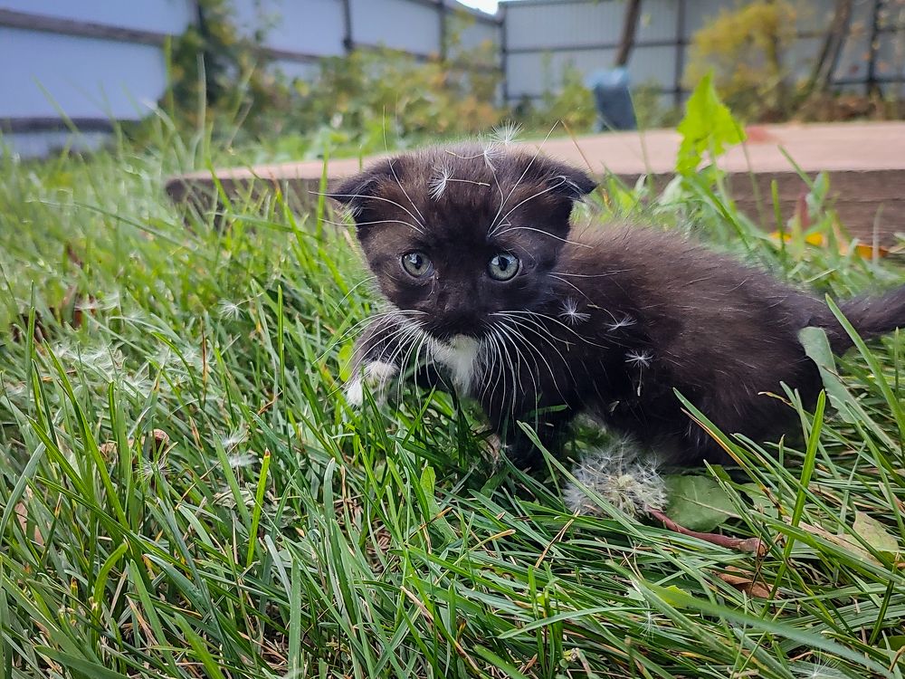 Photograph by Рина Хуртова