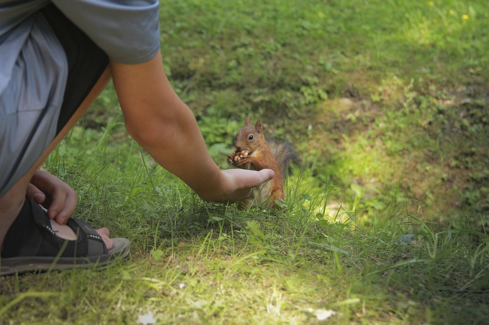 Photograph by Людмила Савчук