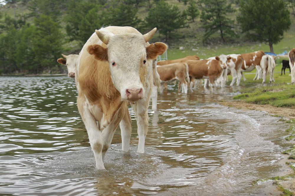 Photograph by Людмила Савчук
