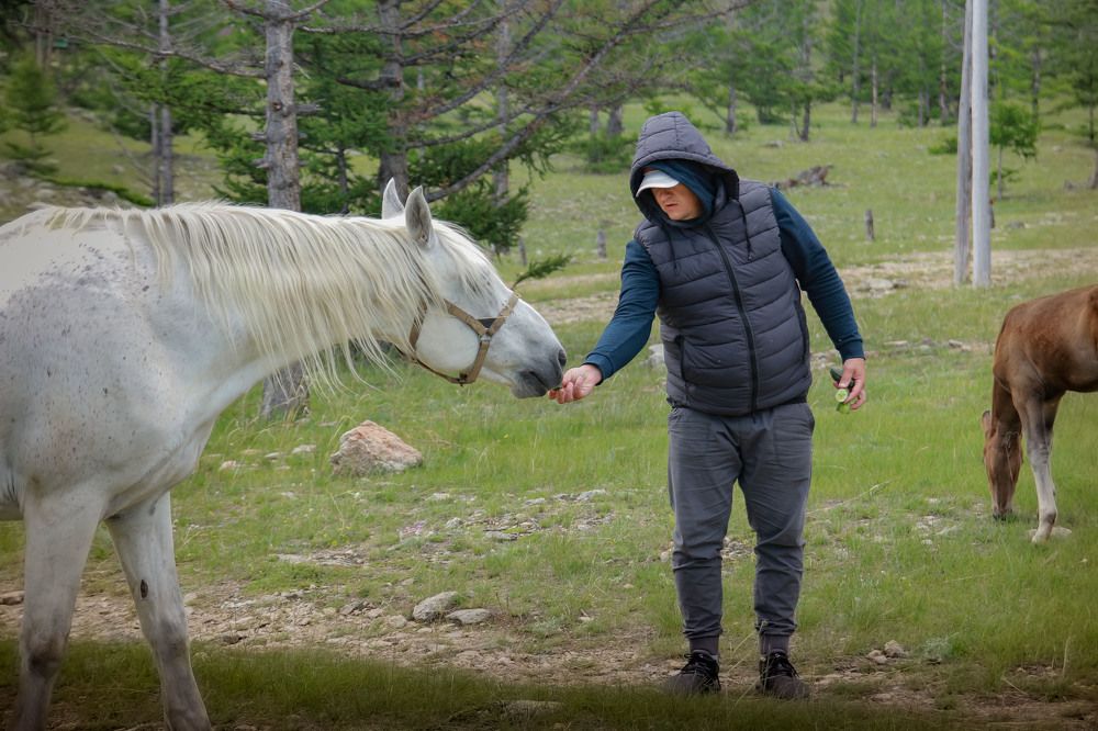 Photograph by Людмила Савчук