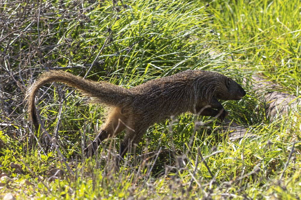 Photograph by Валентина Лопаткина