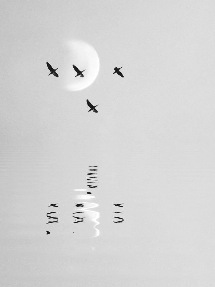 Photograph by Татьяна Максакова