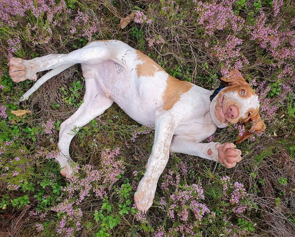 Photograph by Марина Безенкина